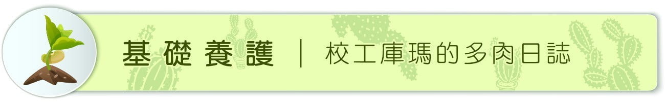 校工庫瑪的多肉日誌 1 基礎養護 | 校工庫瑪的多肉日誌