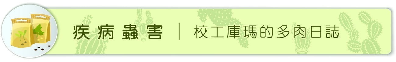 校工庫瑪的多肉日誌 3 疾病蟲害 | 校工庫瑪的多肉日誌