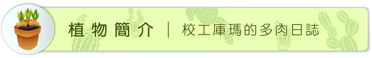 校工庫瑪的多肉日誌 4 植物簡介 | 校工庫瑪的多肉日誌