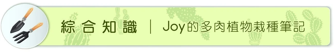 Joy的多肉植物栽種筆記 2 b10200 03