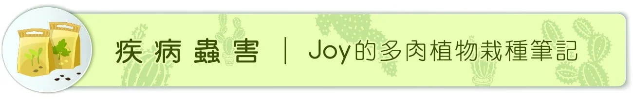 Joy的多肉植物栽種筆記 3 b10200 04
