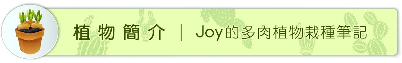 Joy的多肉植物栽種筆記 4 b10200 05