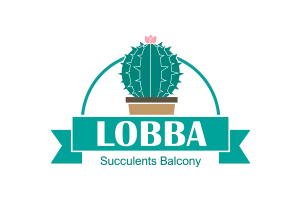 Lobba的多肉天台