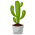 五花肉會員 Member