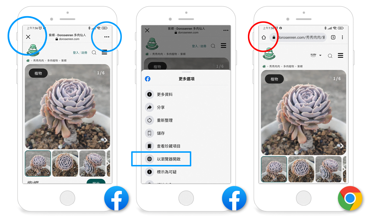 多肉仙人交易所 使用說明 39 t50005 18