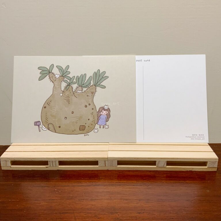 多肉仙人交易所