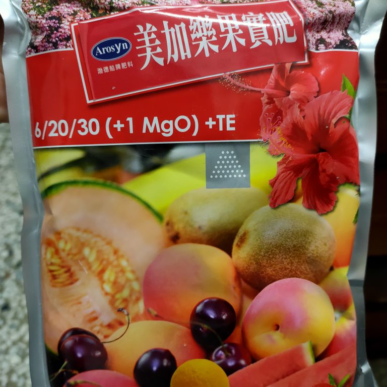 多肉仙人交易所