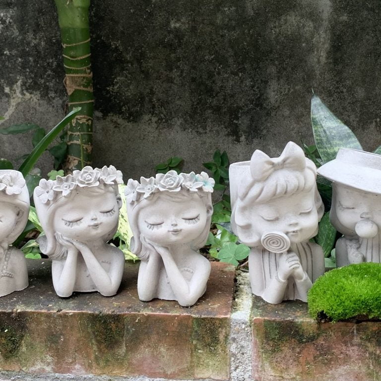 多肉仙人交易所