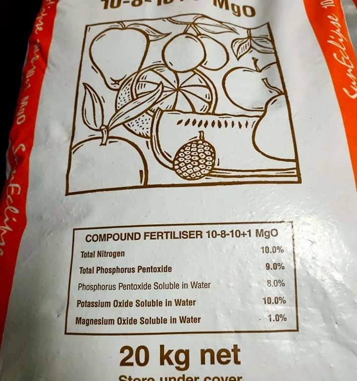 多肉仙人交易所