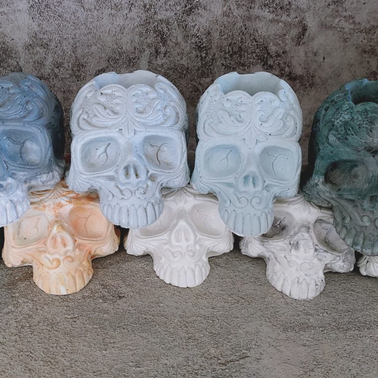 多肉仙人交易所