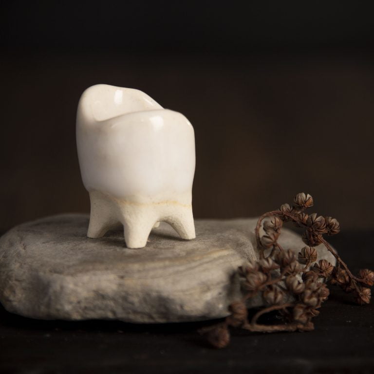 多肉仙人交易所