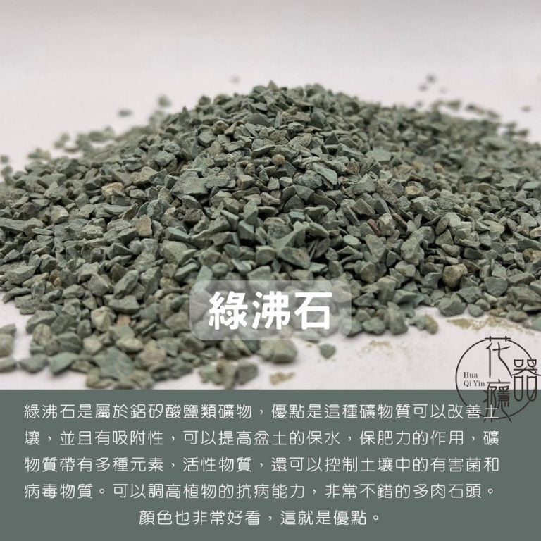 多肉仙人交易所