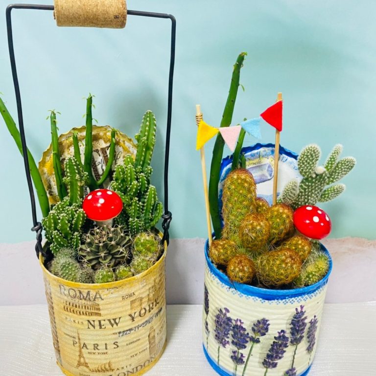 多肉仙人交易所