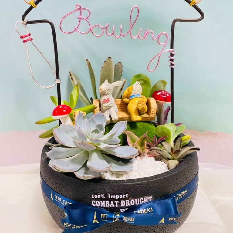 多肉仙人交易所