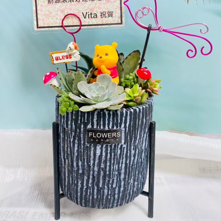 多肉仙人交易所