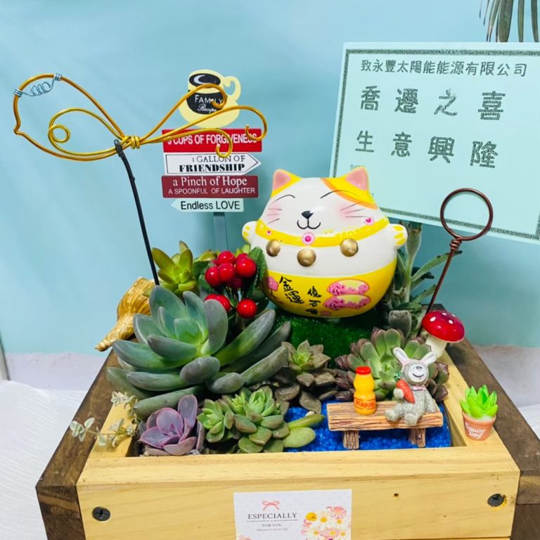 多肉仙人交易所