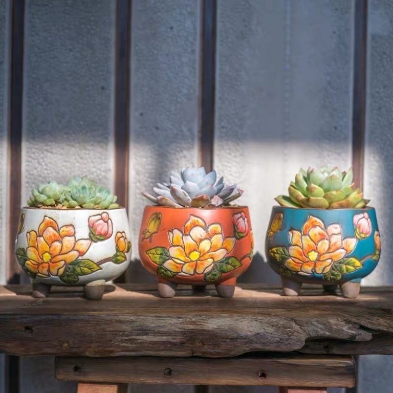 多肉仙人交易所