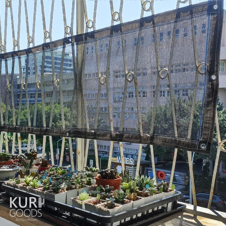 多肉仙人交易所