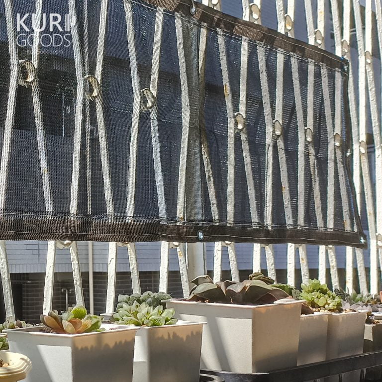 多肉仙人交易所