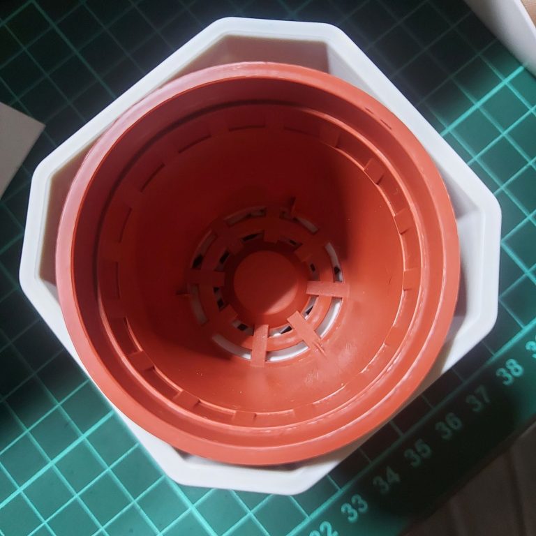 多肉仙人交易所