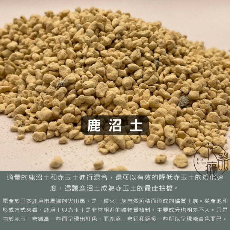 多肉仙人交易所