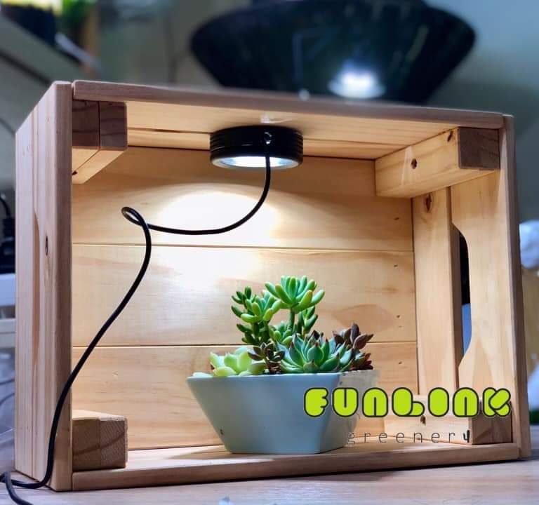 多肉仙人交易所