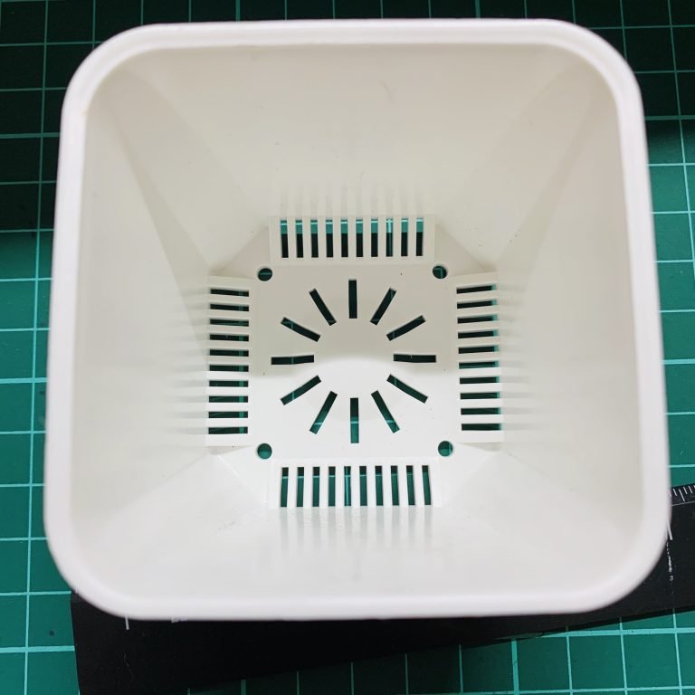 多肉仙人交易所