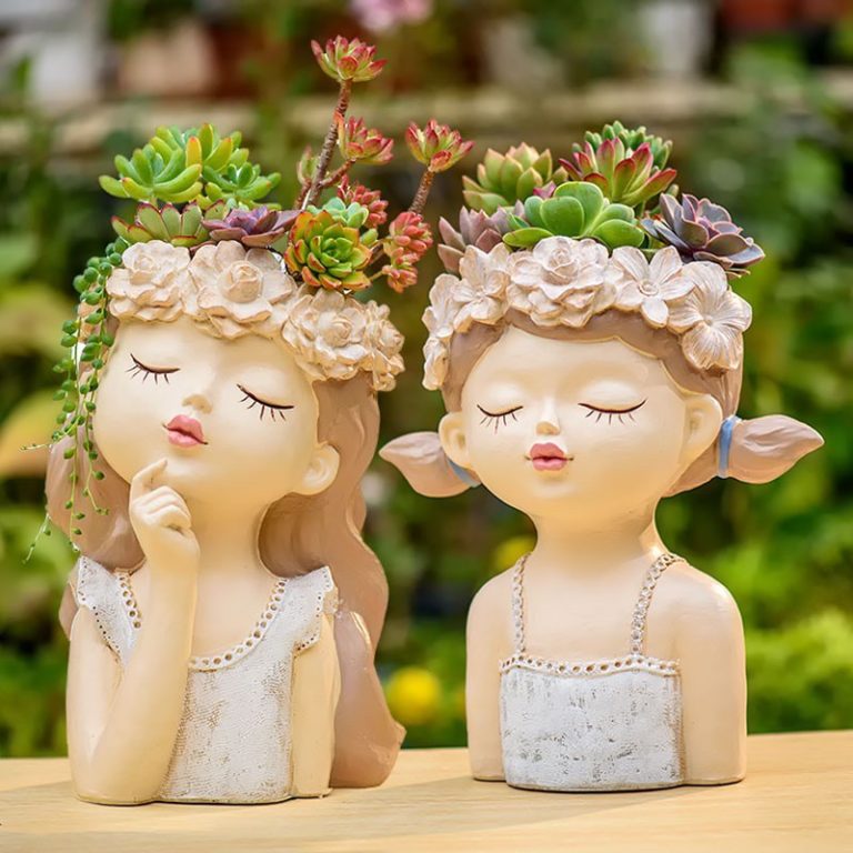 多肉仙人交易所