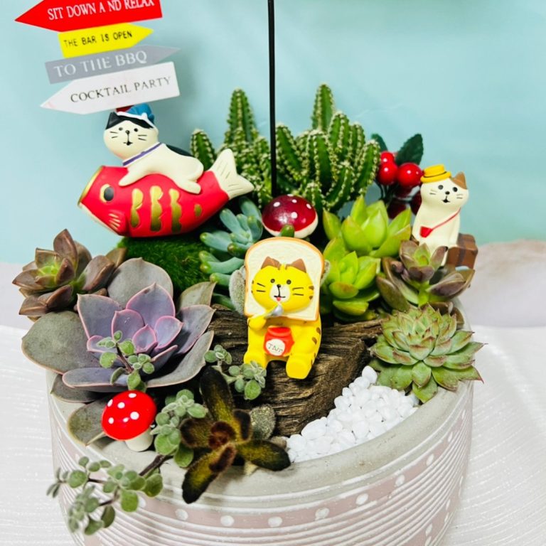 多肉仙人交易所