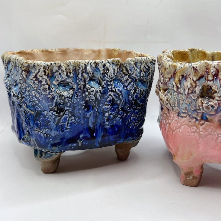 多肉仙人交易所