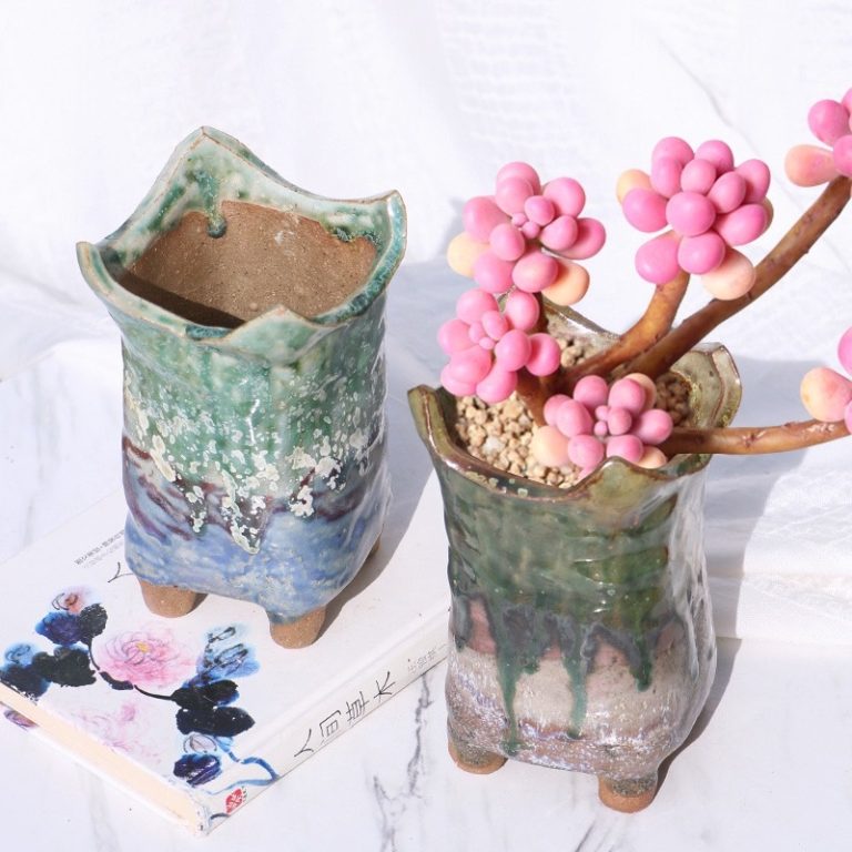 多肉仙人交易所