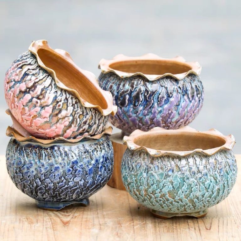 多肉仙人交易所