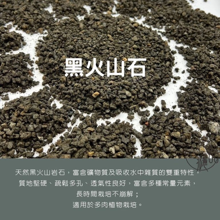 多肉仙人交易所