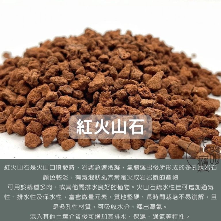 多肉仙人交易所