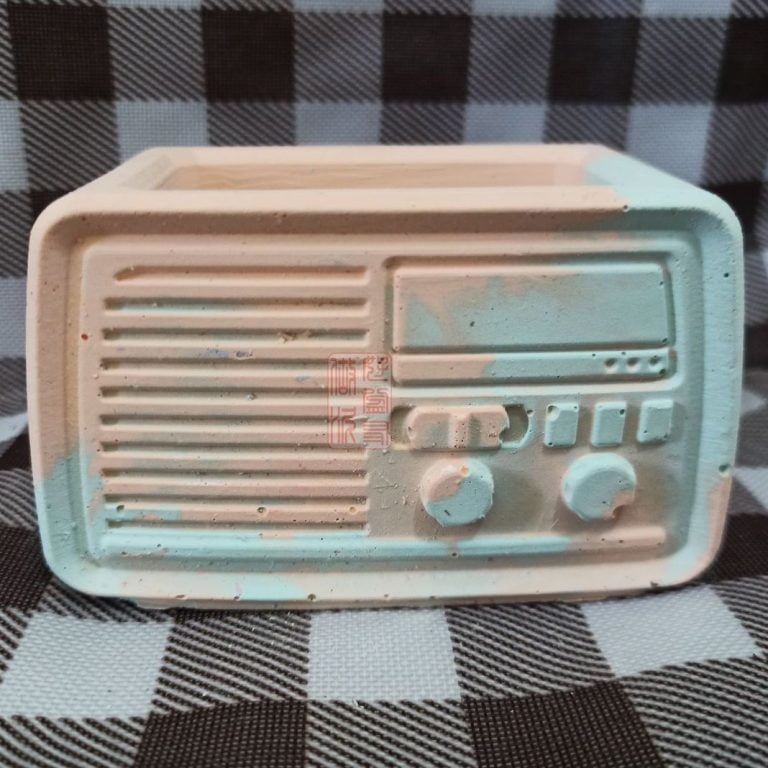 多肉仙人交易所