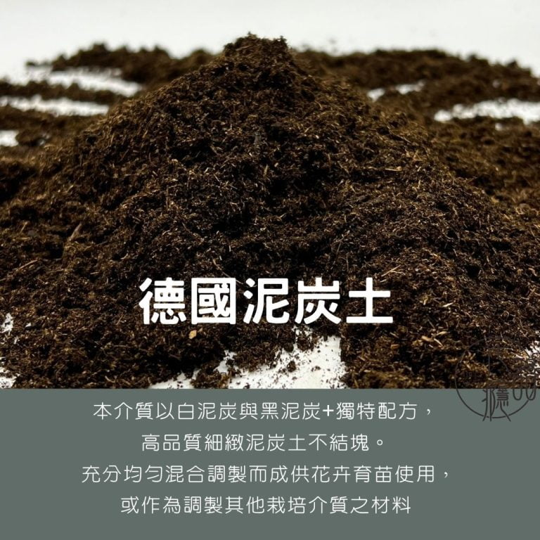 多肉仙人交易所