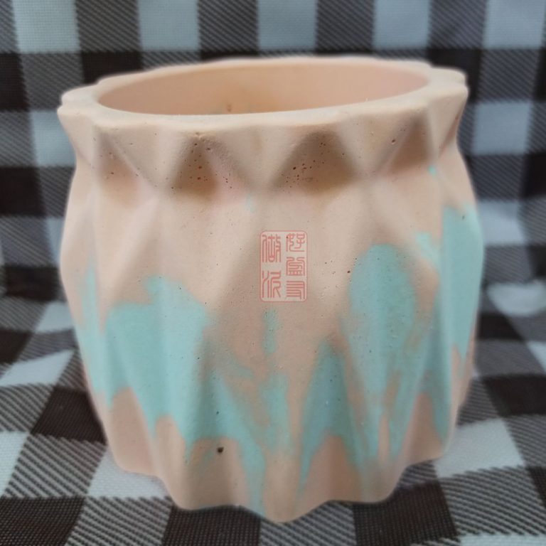 多肉仙人交易所