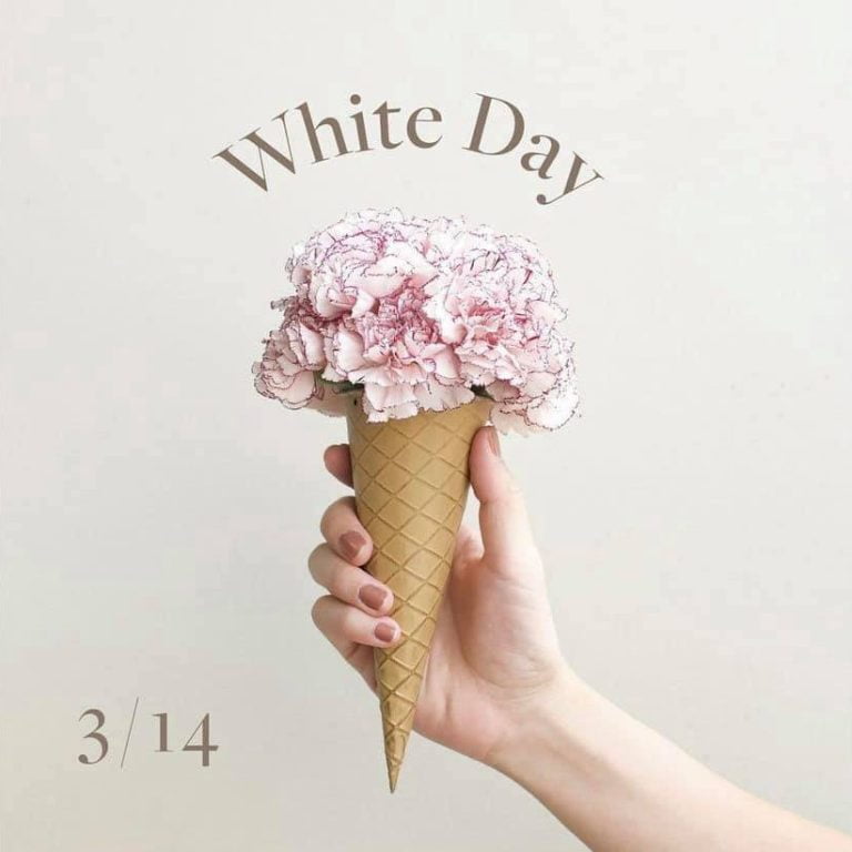 多肉仙人交易所