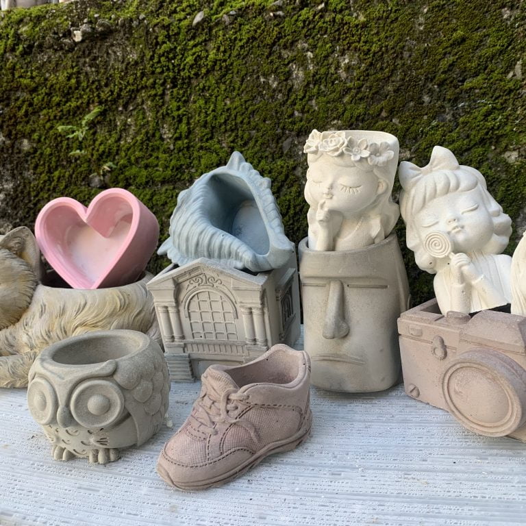 多肉仙人交易所