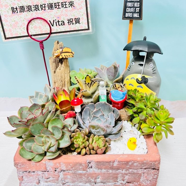 多肉仙人交易所