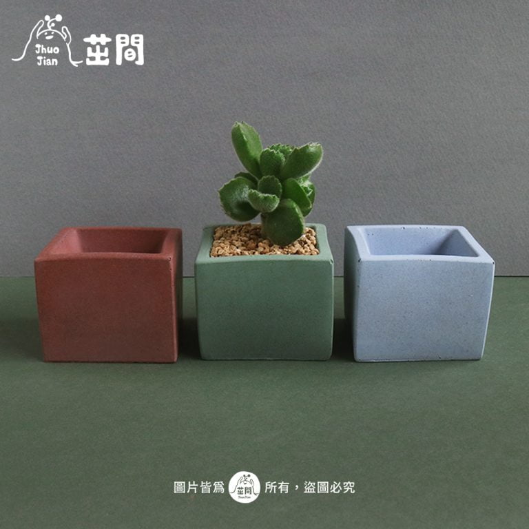 多肉仙人交易所