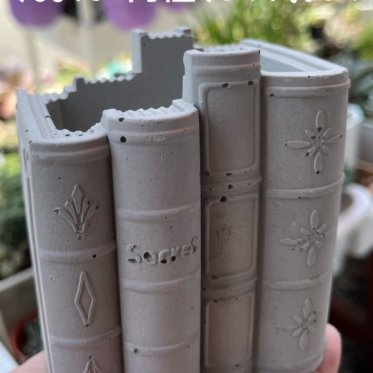 多肉仙人交易所