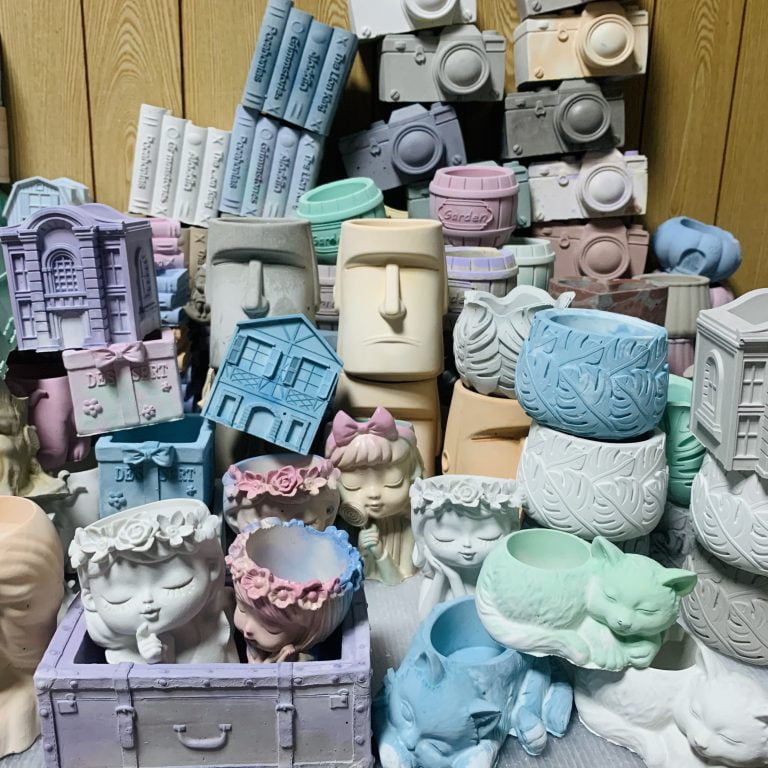 多肉仙人交易所