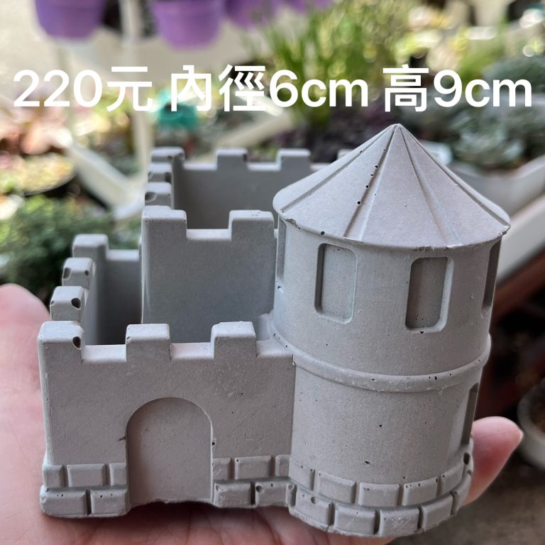 多肉仙人交易所