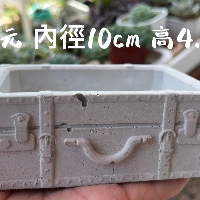 多肉仙人交易所