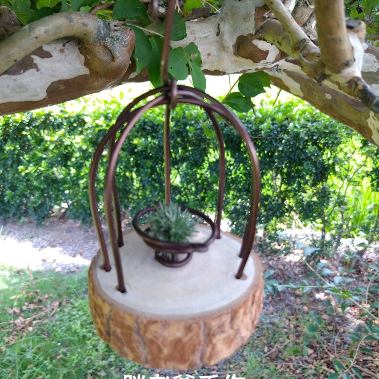 多肉仙人交易所