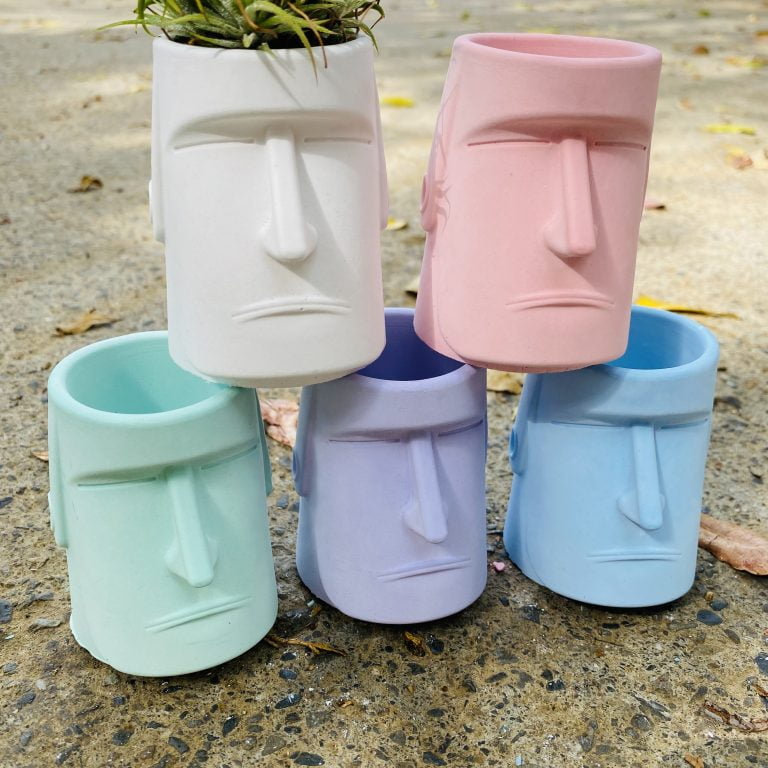 多肉仙人交易所