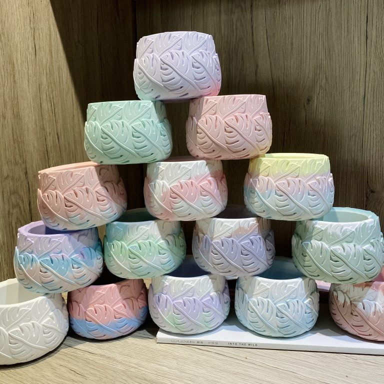 多肉仙人交易所