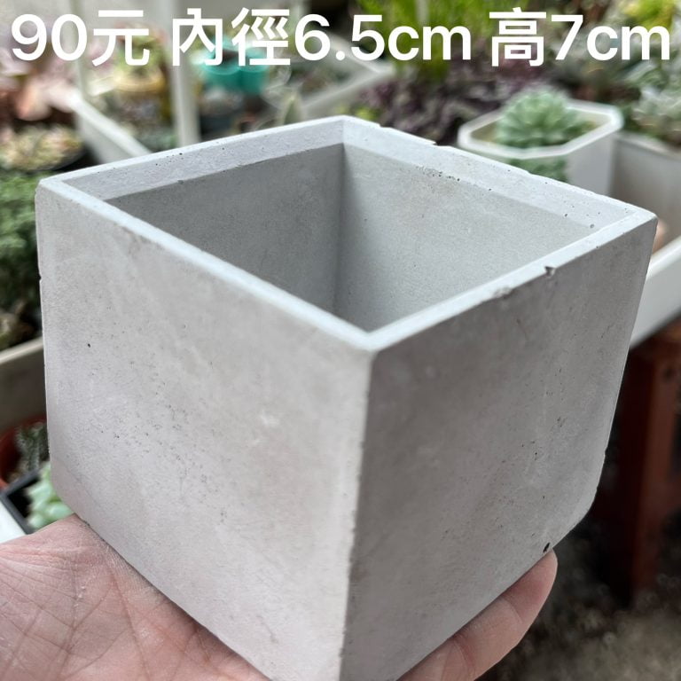 多肉仙人交易所