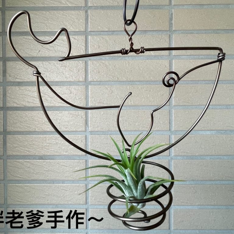 多肉仙人交易所